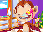 Baby Monkey Salon