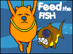 feed the fish