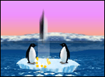 turbo penguins